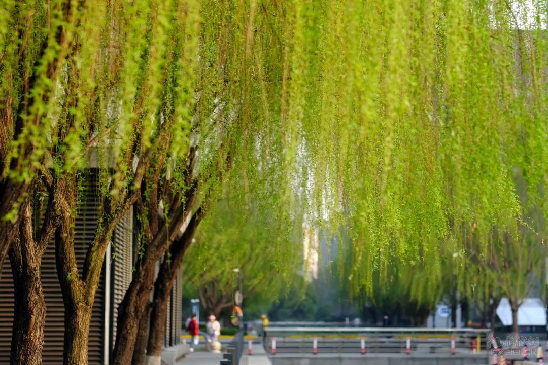 停球哥因偷戴项链被弃用!？未来恐很难重返国足